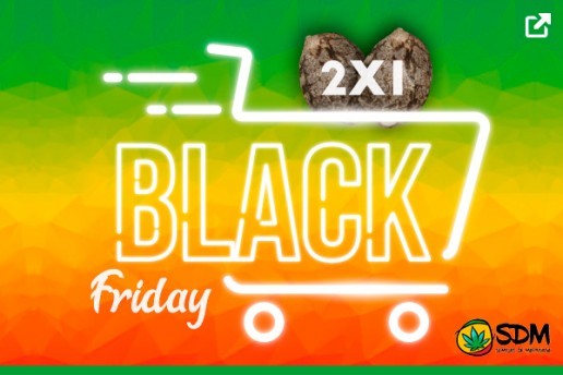 Black Friday